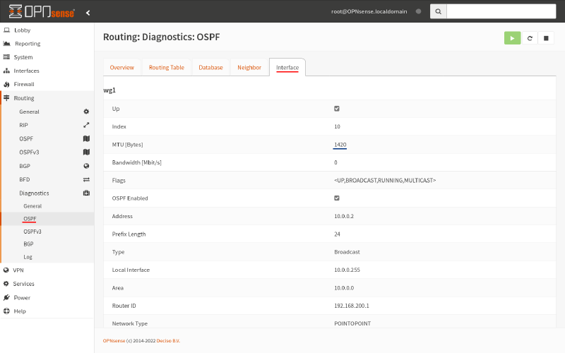 OPNsense routing diagnostics OSPF interface tab, top