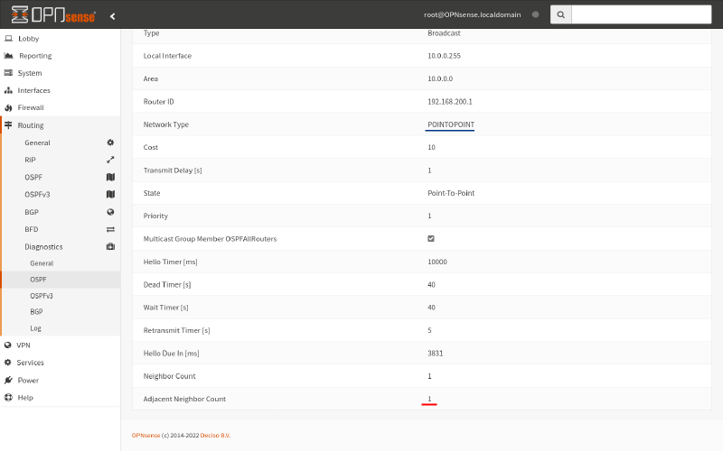 OPNsense routing diagnostics OSPF interface tab, bottom