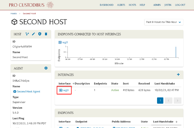 Second Host Page with interface name highlighted