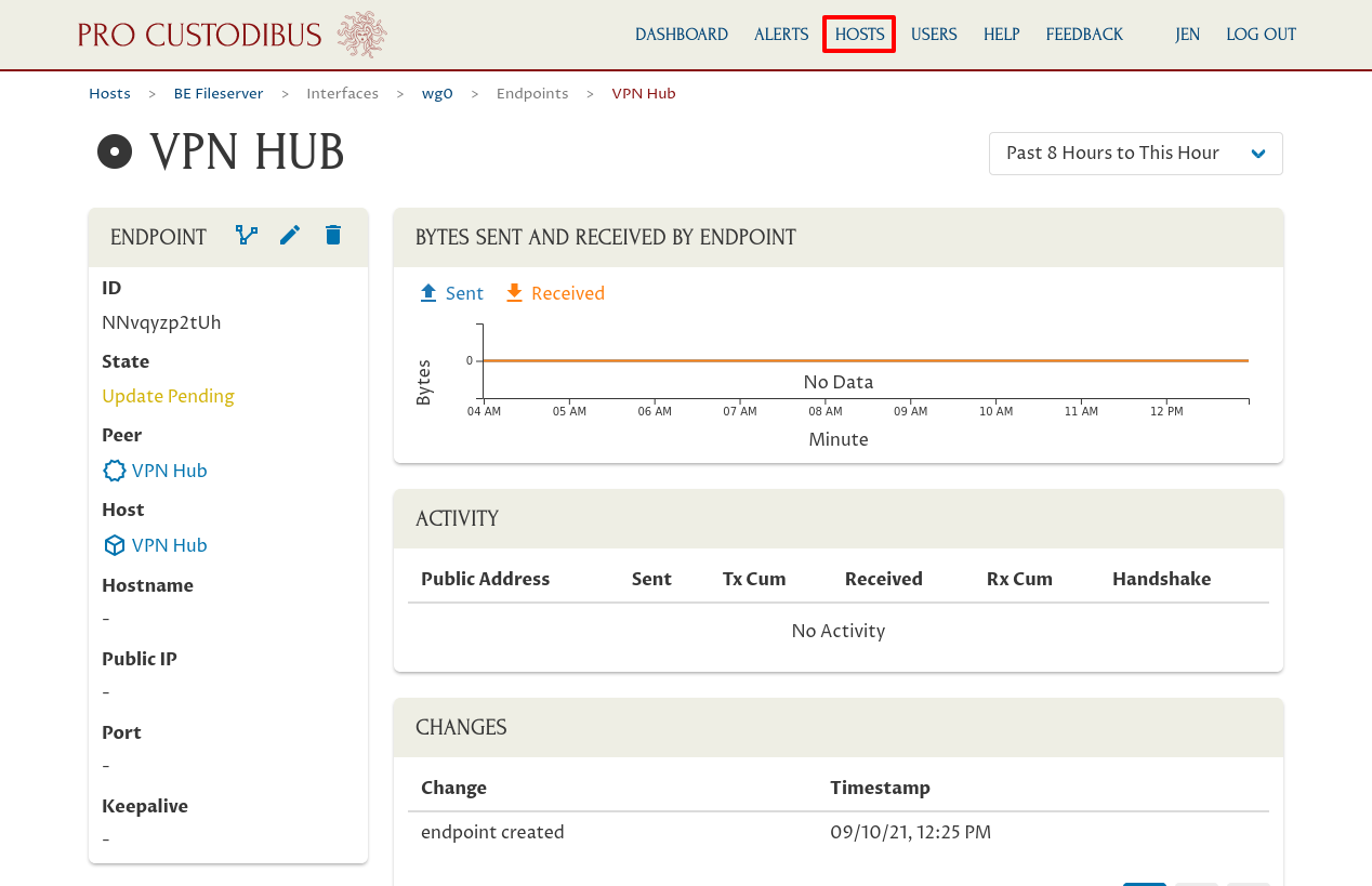 Endpoint Page for Connection Between BE Fileserver and VPN Hub