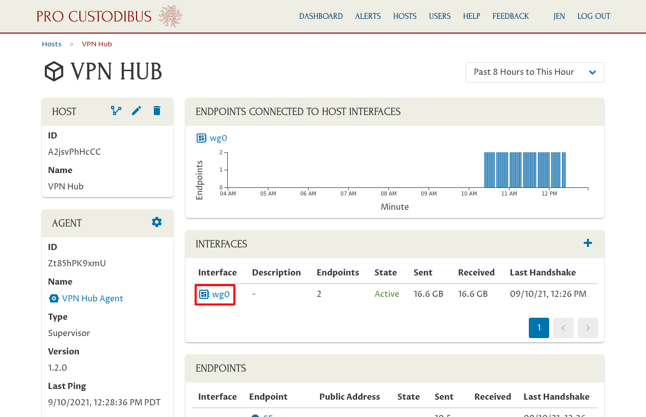 VPN Hub Host Details