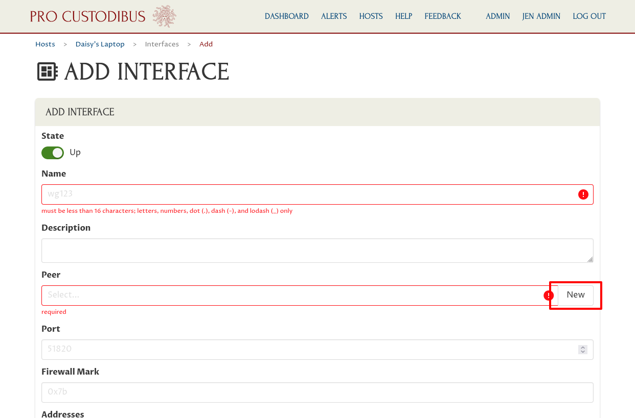 Add Interface page